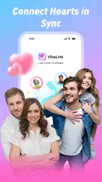VibeLink screenshot