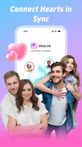 VibeLink screenshot