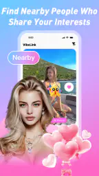 VibeLink screenshot
