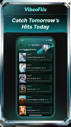 VibeoFlix screenshot