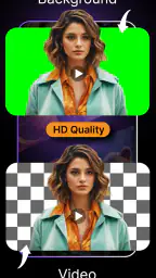 Video Background Changer screenshot