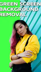 Video Background Remover screenshot