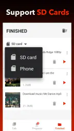 Video Downloader - Downloader screenshot