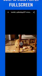 Video Downloader for Tumblr screenshot