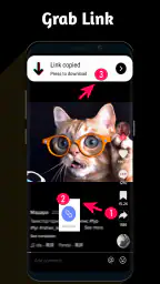 Video Downloader TSaver screenshot