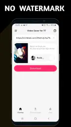 Video Downloader TSaver screenshot