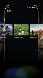 VidVast screenshot