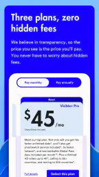 Visible mobile screenshot