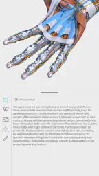 Visual Anatomy 3D - Human body screenshot