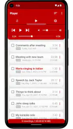 Voice Recorder Pro screenshot