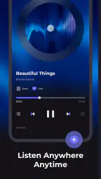 WaveFlow – Offline Music screenshot