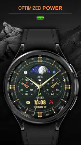 WFP 309 Elegant watch face screenshot