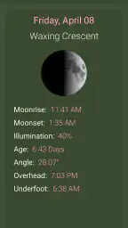 What The Forecast screenshot