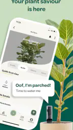 Willow screenshot