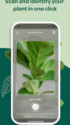 Willow screenshot
