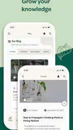 Willow screenshot