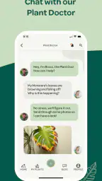 Willow screenshot