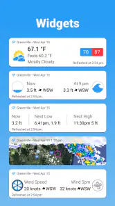 WillyWeather screenshot