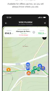 Wise Pilgrim Camino Francés screenshot
