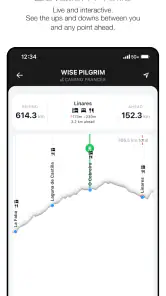 Wise Pilgrim Camino Francés screenshot