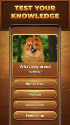 Wood Quiz Blast: Trivia Blocks screenshot