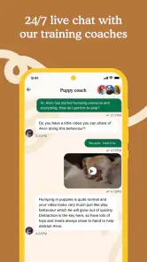 Zigzag - Dog & Puppy Training screenshot