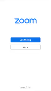 Zoom Workplace for Chromebook screenshot