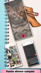 CalcaApp screenshot