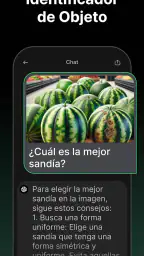 Chatbot App: Asistente con IA screenshot