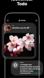 Chatbot de IA - Nova screenshot