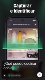 ChatGO - Asistente de Chat IA screenshot