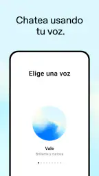 ChatGPT screenshot