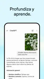 ChatGPT screenshot