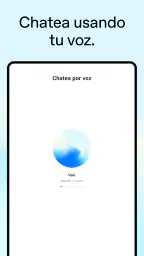 ChatGPT screenshot