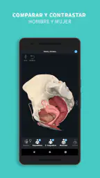 Complete Anatomy screenshot