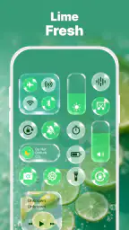 Control Widget: Theme & Panels screenshot
