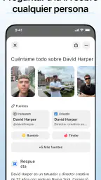 Deepsearch AI: Busca con IA screenshot