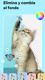 Estudio de Fotos IA: Editor screenshot