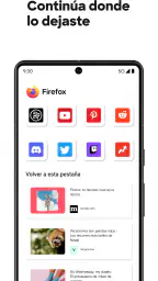 Firefox: navegador privado screenshot
