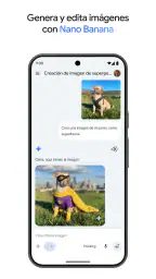 Google Gemini screenshot
