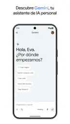Google Gemini screenshot