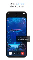 Google Gemini screenshot