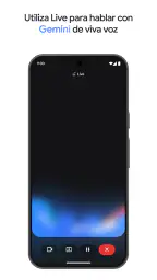 Google Gemini screenshot