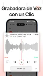 Grabadora de voz screenshot