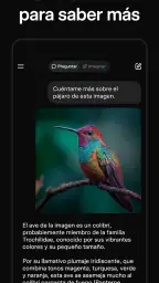 Grok - Asistente de IA screenshot