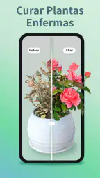 Identificar Plantas y Cuidado screenshot