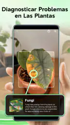 Identificador de plantas screenshot