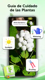 Identificador de plantas screenshot