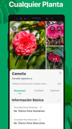 PictureThis Identificar Planta screenshot