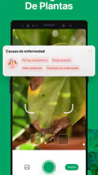 PictureThis Identificar Planta screenshot